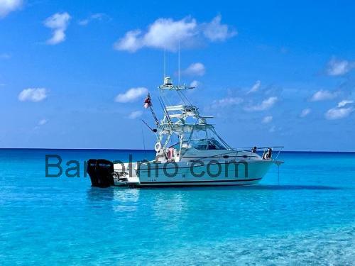 Stamas 320 Express opinión y ficha técnica